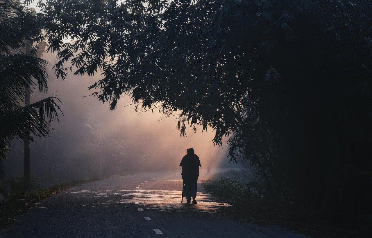 A silhouette of a person walking down a misty, winding road at dawn with sunlight filtering through lush tropical trees, symbolizing a leader's journey toward mental clarity and discharging stress through movement.